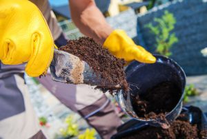 Durham Tree Service Difference potting soil vs garden soil