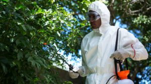 Durham Tree Service integrated pest management