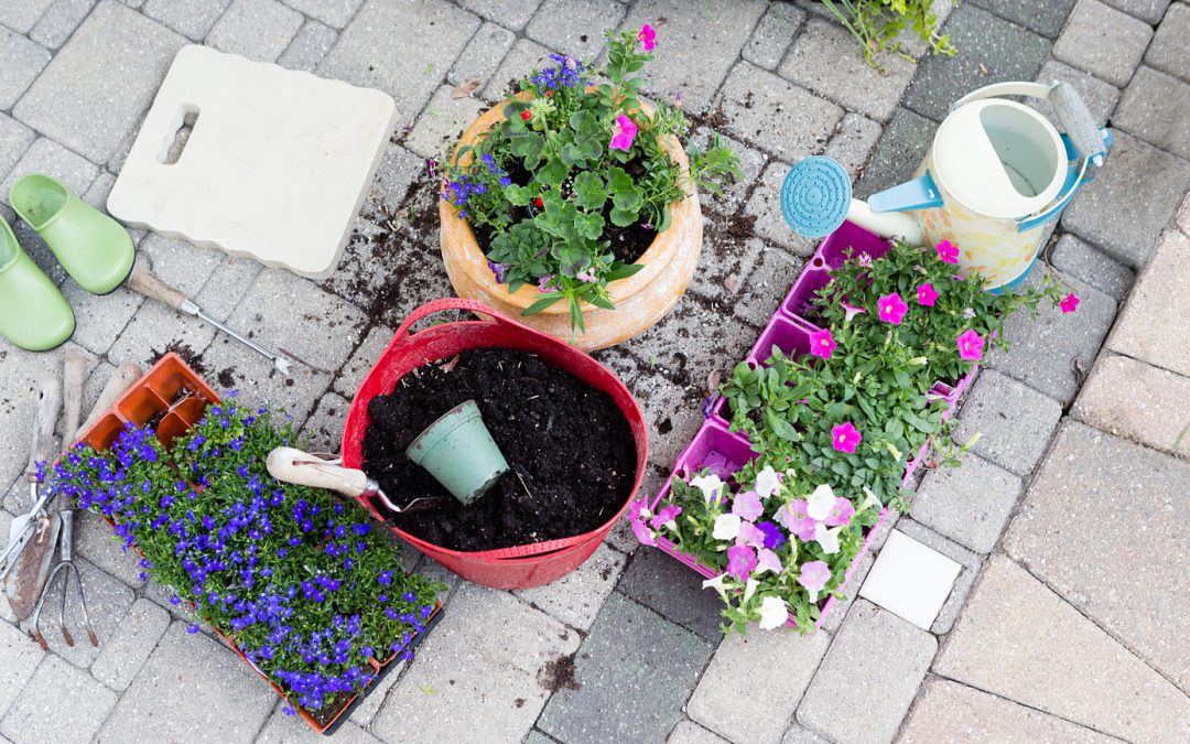 What Is The Difference Between Potting Soil vs Garden Soil