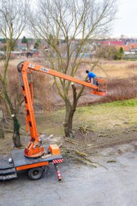 Durham Tree Service how to cut tree limbs that are too high to reach